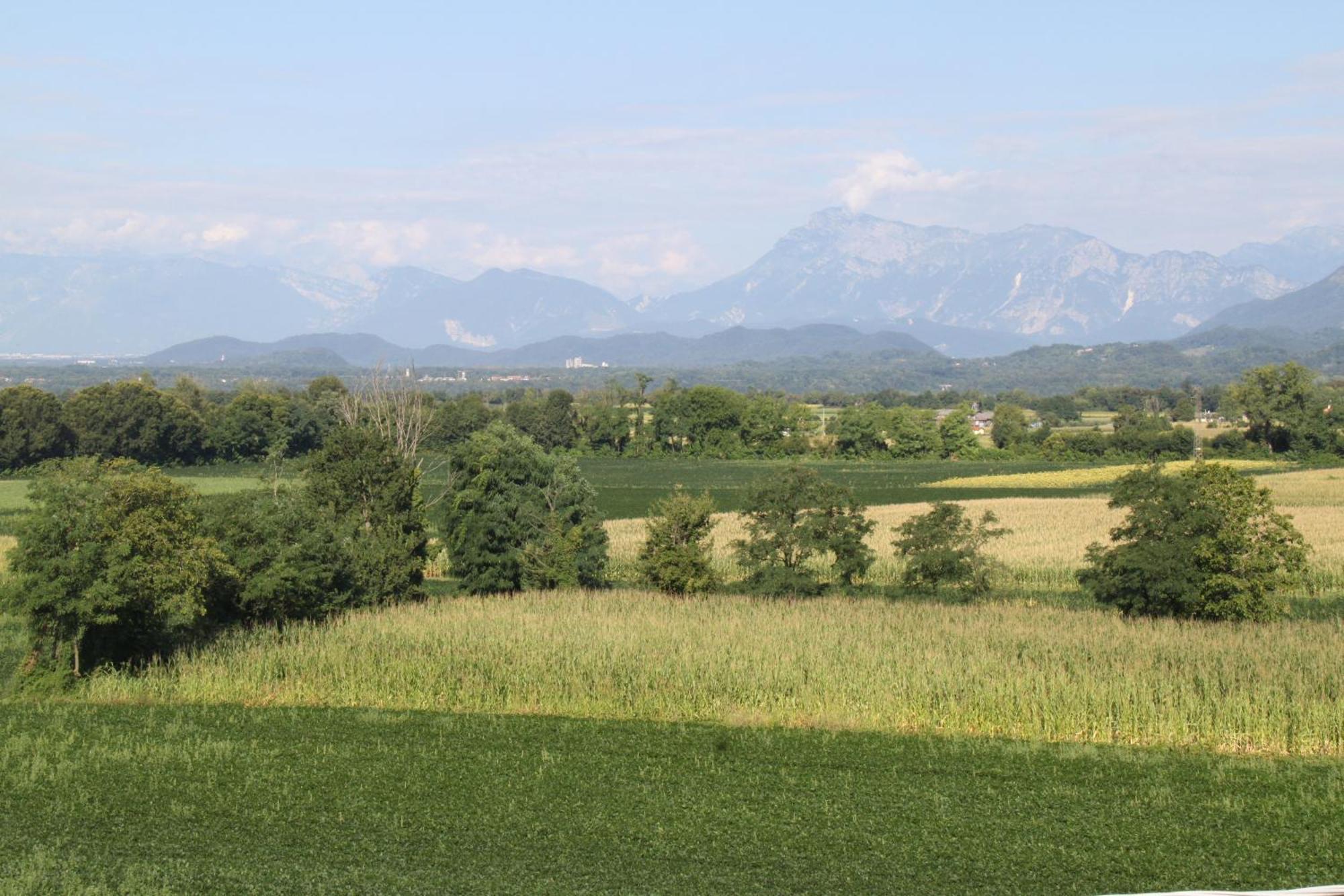 Al Cjant Dal Gjal Affittacamere A San Daniele Ragogna ภายนอก รูปภาพ